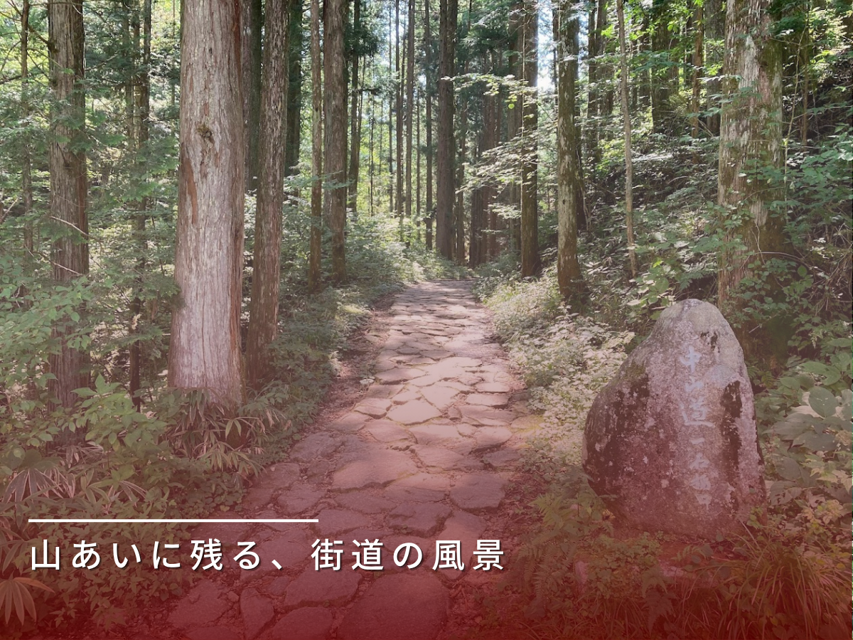 旅の道