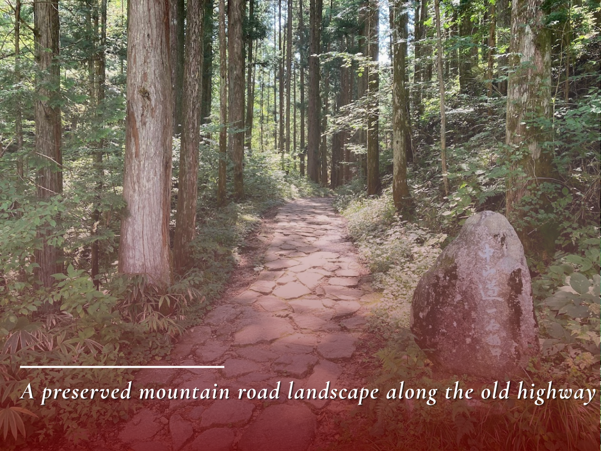 Road of Travel