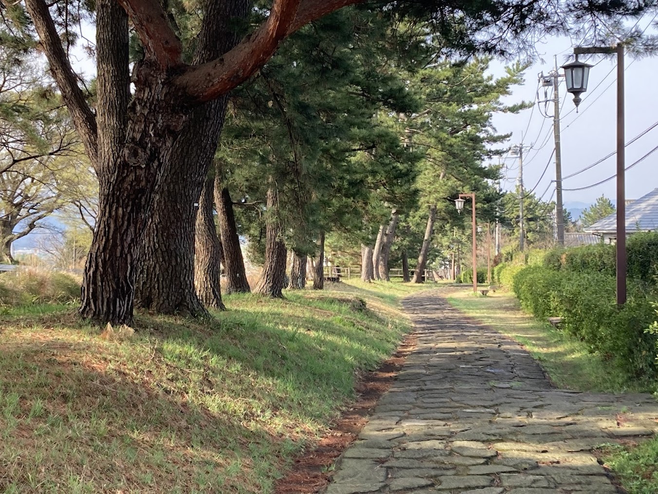 箱根街道