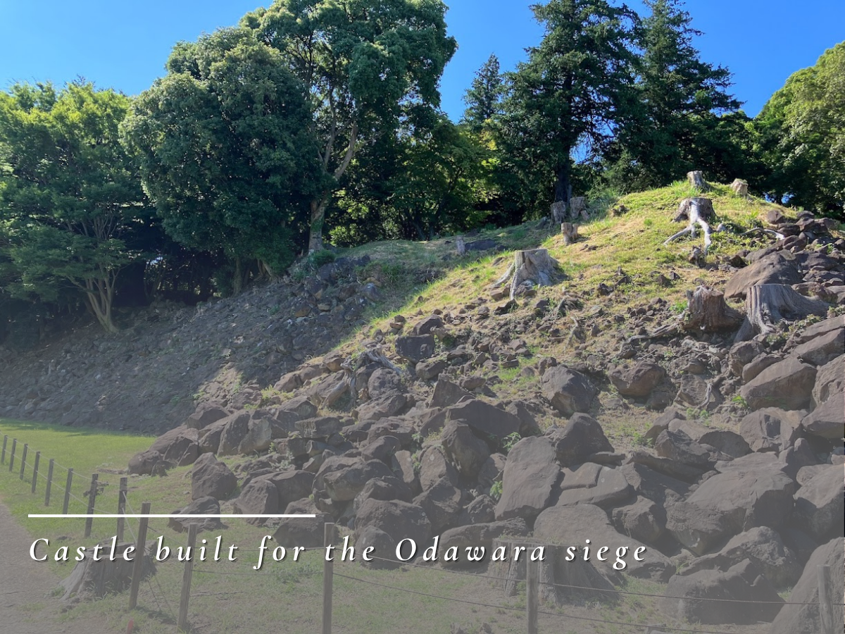 Ishigakiyama Castle
