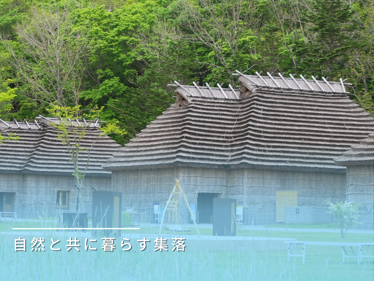 コタン