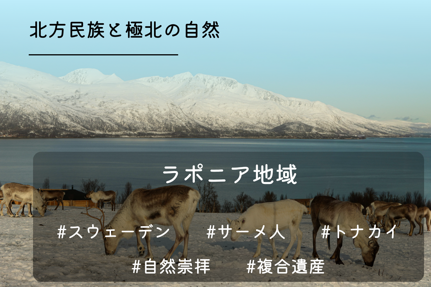 ラポニア地域