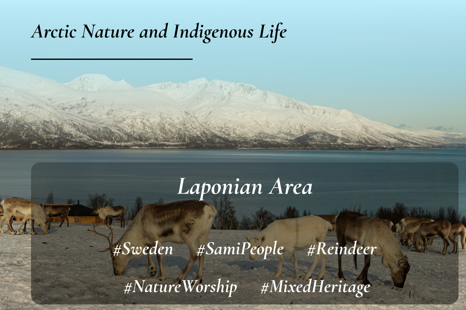 Laponian Area