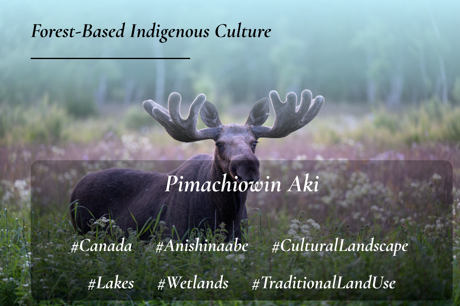  Pimachiowin Aki