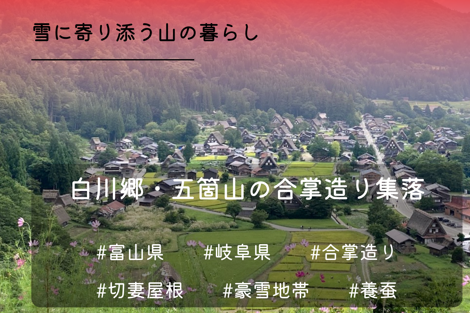 白川郷・五箇山の合掌造り集落